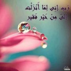 Ahmed Hassan_87