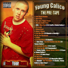 Young Calico Music Pt 2