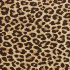 Michaela Kianna Grier