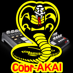 COBR_AKAI