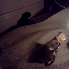 Sounds of the Art House