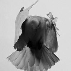 Metatron (Original) (Demo)