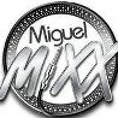 MEGAMIX LOS PEREGRINOS DEL AMOR -PARA TODO CHILE DJ MIGUEL MIX d(- -)b]