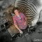 DJ Dizzi D