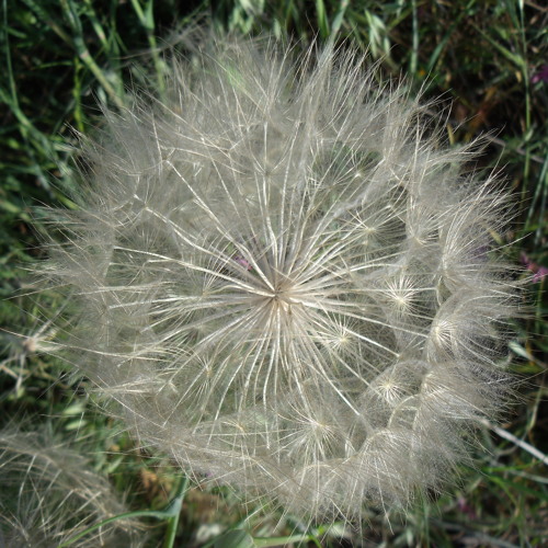 But If You Look At It Upside Down