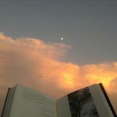 NAVIDADES CHOCOLATERAS 2013