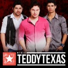 Teddy Texas