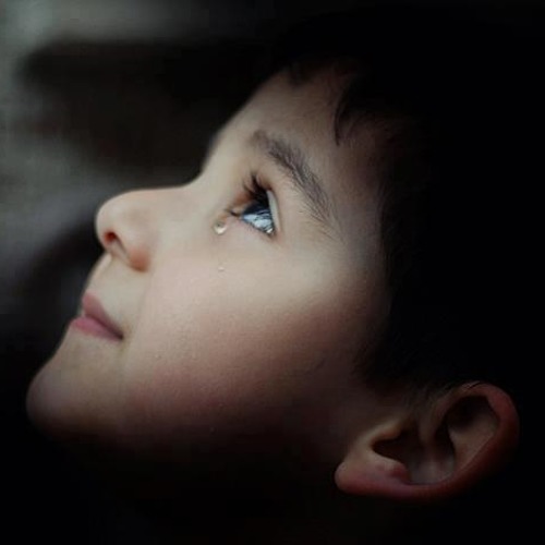 أبي كم أحبك كالمغرم .. ربيع حافظ