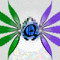 Quantum Leaf