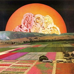 Preston Lonely Hearts