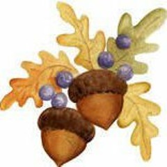 Amy Montgomery Nowlan