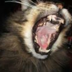 Geir Christian Åsland