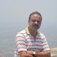 Ramesh Srinivasan 2