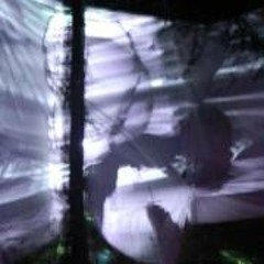 Rachel Dimethylpixeline