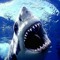 Sharkhuntr
