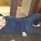 ShahinBasdemir
