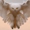 Whiteowl Dj TEKNIKAL...