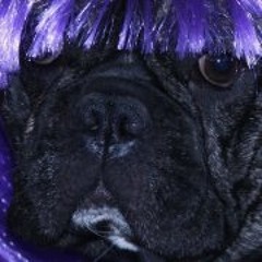 Klaus-Juergen Anders