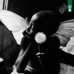 Priscilla Santos de Souza