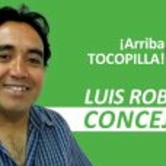 Luis Robles Concejal