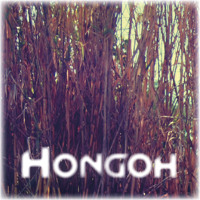 HongoH en LaCarne Magazine