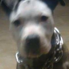 Nathan Themeat Moorehead