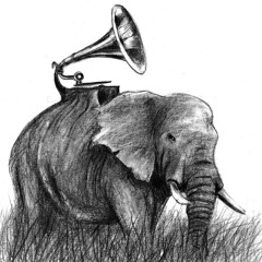 Julian Charles Bass Samples