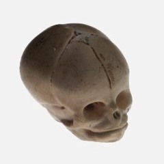 bougie lil honourable brigand