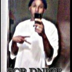 Schoolcraft Dnice