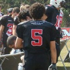 Leonardo Alves Farah