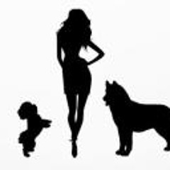 Angelina Hajnalka Zakor