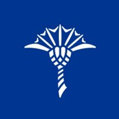 OLIVER KOLETZKI & FRAN BLUE CITY LIGHTS