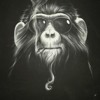 Homomusicus