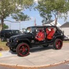 Turtle Custom Wheels