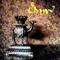 Somni_Music