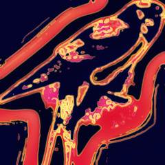 Urban Swallow Productions