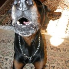 Manos Papadomichelakis