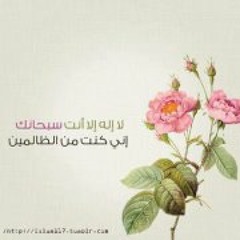 Rehaf M Attia