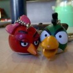 Srinilam Iwarezki Astha