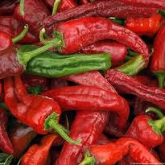 Hot Red Chilli Peppers