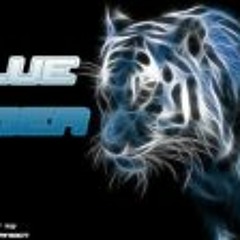 DJ Blue Tiger