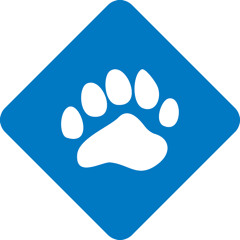 SmartBear and Selenium Podcast with Jim Evans