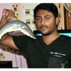 Gladson Heny Stephen