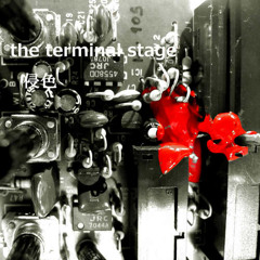 末期症状（the terminal stage)