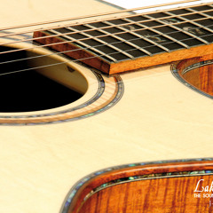 fingerstyle-guitarist