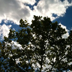 Dgaf Entertainment 2