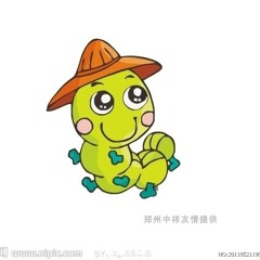 Caterpillar / Baterfly