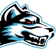DjIcexWolf