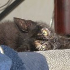 Barb Speegle Elliott