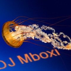 dj_mboxi